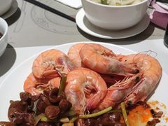 -晶丽香榭自助餐(南京大饭店)