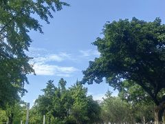 -四川大学(望江校区)