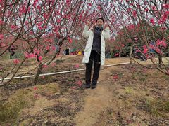 -水濂山乐民游艺园