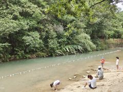 -广州白江湖森林公园