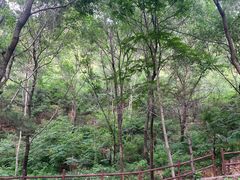 -山叶口景区