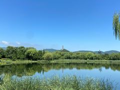-北坞公园