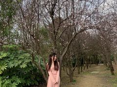 -贵阳市花溪国家城市湿地公园