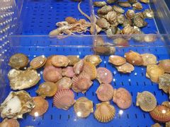 -高佳庄·舟山海鲜(海景旗舰店)