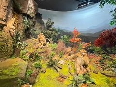 -陕西自然博物馆