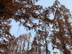 -东钱湖旅游度假区