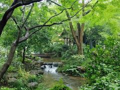 -中国茶叶博物馆(双峰馆区)
