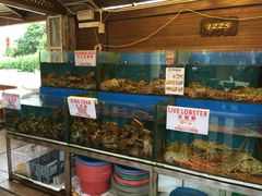 -真浪花园海鲜餐馆