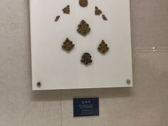 -旅顺博物馆
