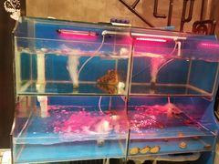 水产区-臻鲜燕海鲜融合餐厅(金陵style店)
