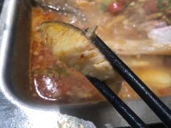 -黑猫馋纸包鱼(阳光店)