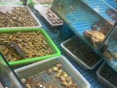 -和源祥·日照菜扛把子(万平口一店)