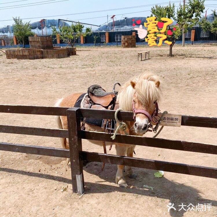 北京六一遛娃必打卡的超值亲子乐园