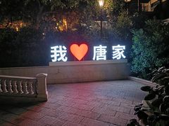 -甲大帅·甲鱼·椰子鸡主题餐厅(唐家店)