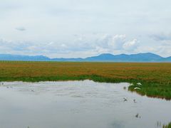 -花湖生态旅游区