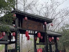 -合肥滨湖国家森林公园