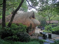 -中国茶叶博物馆(双峰馆区)