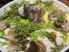 青青椒麻龙胆鱼-CHIC1699远洋私厨