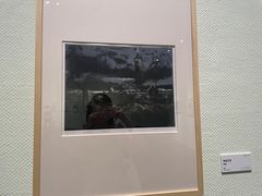 -岭南美术馆