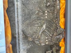 -诸城市恐龙博物馆