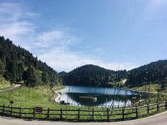 -武陵山森林公园