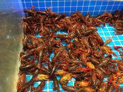 -加尔森烤肉海鲜·火锅烧烤自助