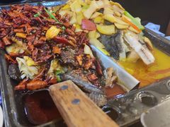 怪味-江边城外烤全鱼(龙德广场店)