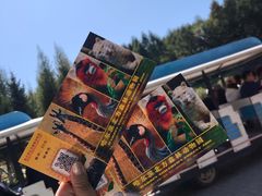 -哈尔滨北方森林动物园