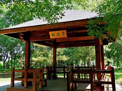 -大兴滨河森林公园