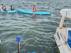 -碧海金沙