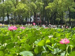 -四川大学(望江校区)