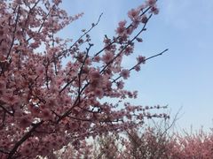 -白塘生态植物园