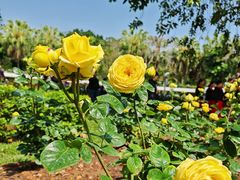 -人民公园(罗湖区)