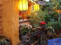 -园林美食城·本土农家菜(杨和镇店)