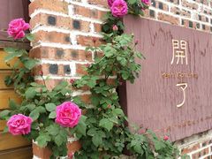 -三圣花乡旅游区