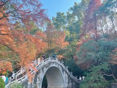 -深圳仙湖植物园