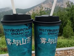 -雾与山茶(大禹城店)