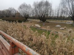 -汉长安城未央宫国家考古遗址公园