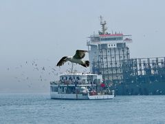 -海驴岛(荣成市)