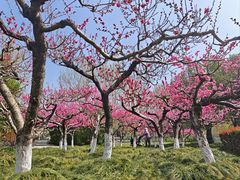 -郑州植物园