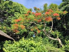 -塔曼阿扬寺/母神庙