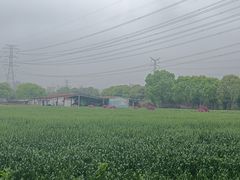 -金稼园·金平湖农家菜
