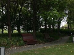-陈家山荷花公园