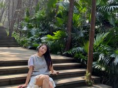 -铁山坪森林公园