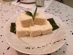 雪方椰奶冻-大树餐厅(朝阳大悦城店)