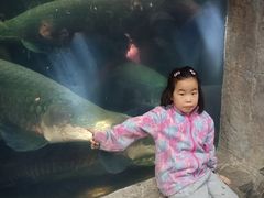 -青青世界