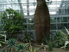 -南山植物园