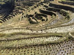 -紫鹊界梯田景区