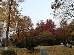 -白沙古井