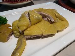-鼎记啫啫煲(数博万达店)